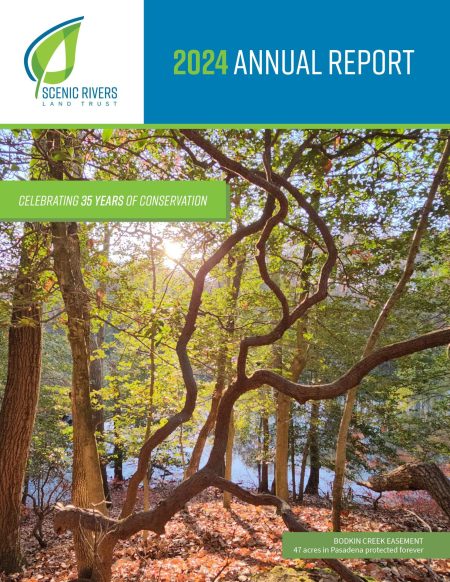 2024 Annual Report_Cover 2024 Annual Report_Cover