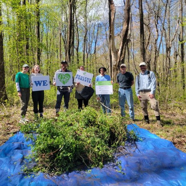 Group of volunteers pose with "We Love Healthy Forests" Signs in front of a large pile of removed invasive plant species.