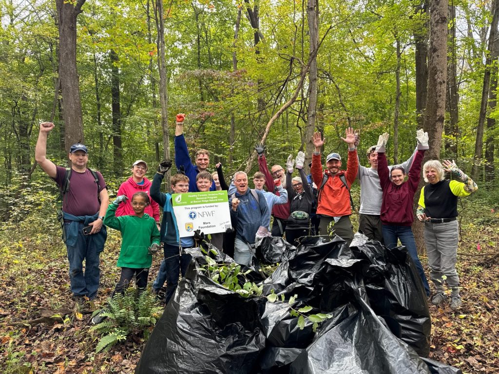 Large group of volunteers cheer and pose with "We Love Healthy Forests" Signs in front of a large pile of removed invasive plant species.