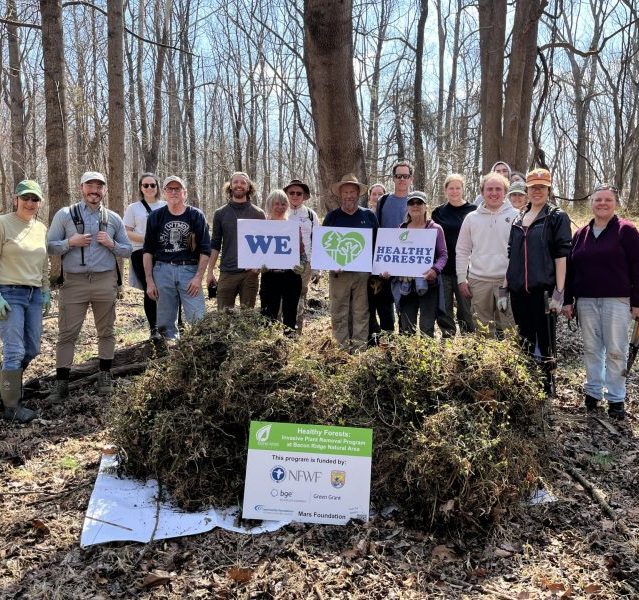 Group of volunteers pose with "We Love Healthy Forests" Signs in front of a large pile of removed invasive plant species.