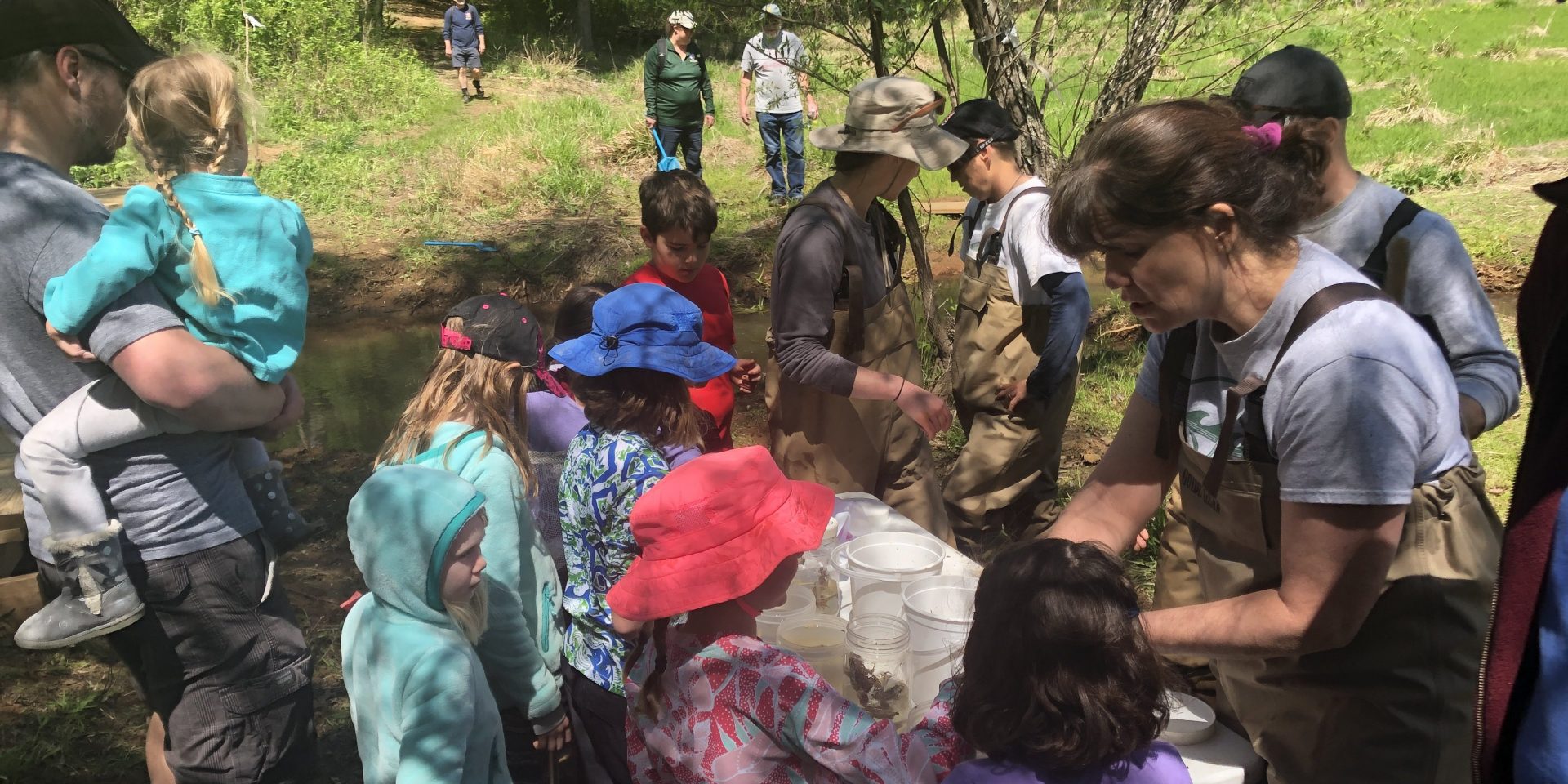 Walk_2019_kids_2_BillDavidson Walk_2019_kids_2_BillDavidson