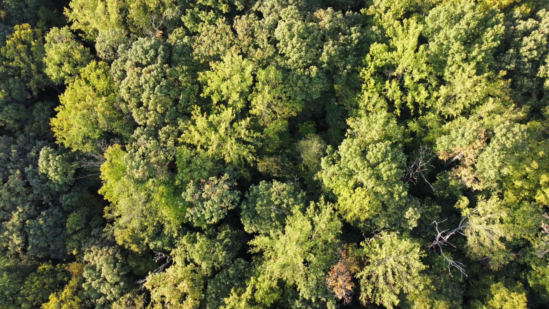dji_fly_20231005_171800_595_1696540688461_photo_optimized dji_fly_20231005_171800_595_1696540688461_photo_optimized