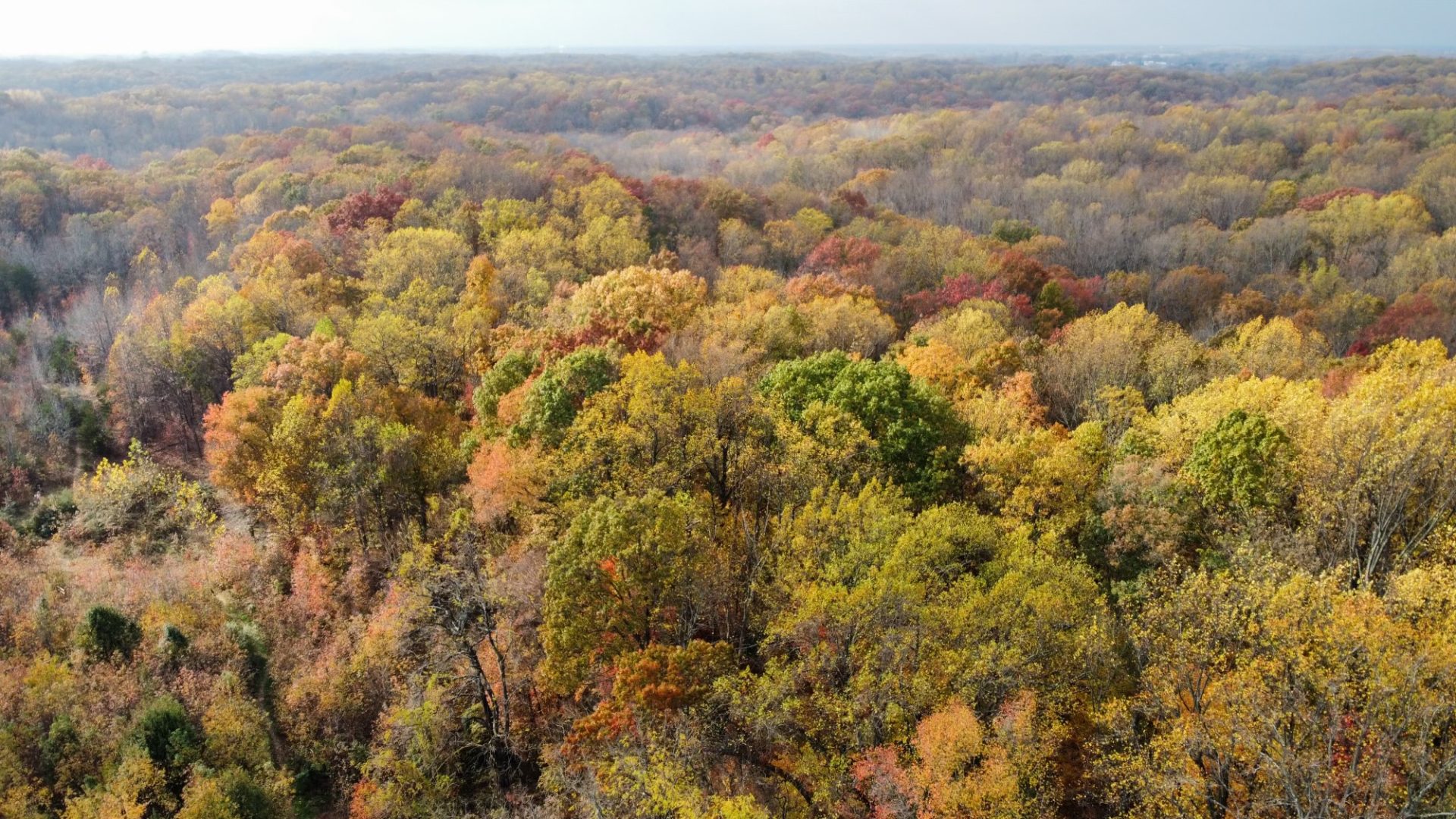 dji_fly_Bacon Ridge Natural Area_photo_optimized dji_fly_Bacon Ridge Natural Area_photo_optimized